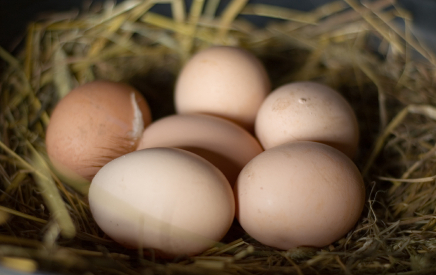 Brand Category Definitions